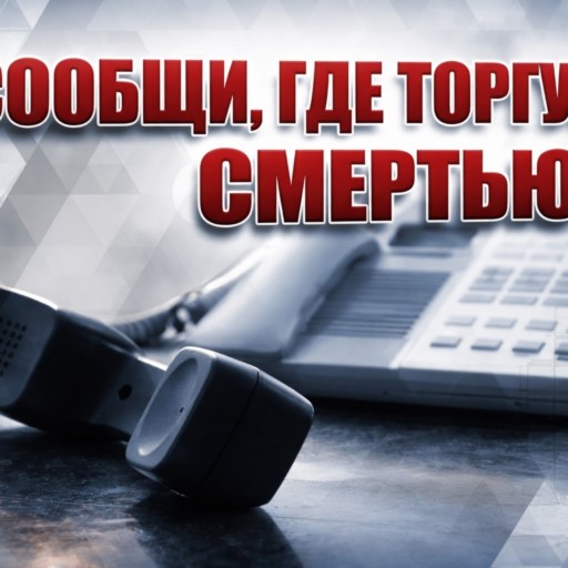 Сообщи, где торгуют смертью!